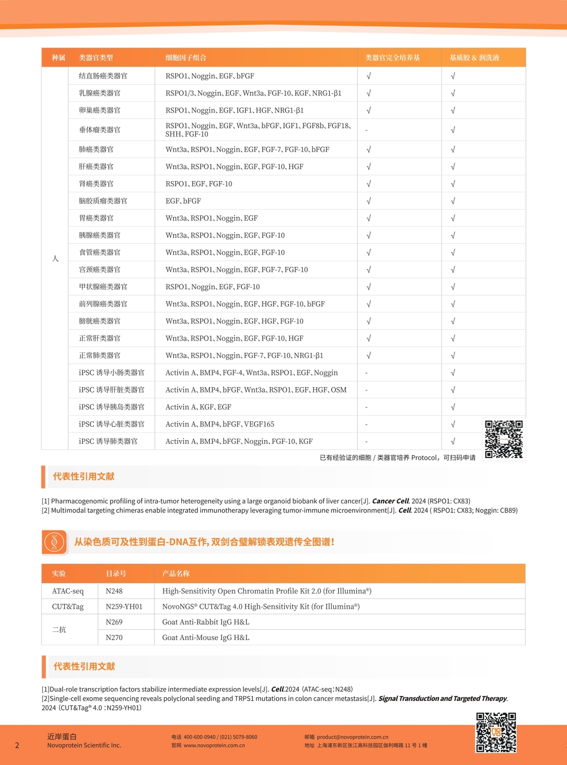 促销单页_page-0003.jpg