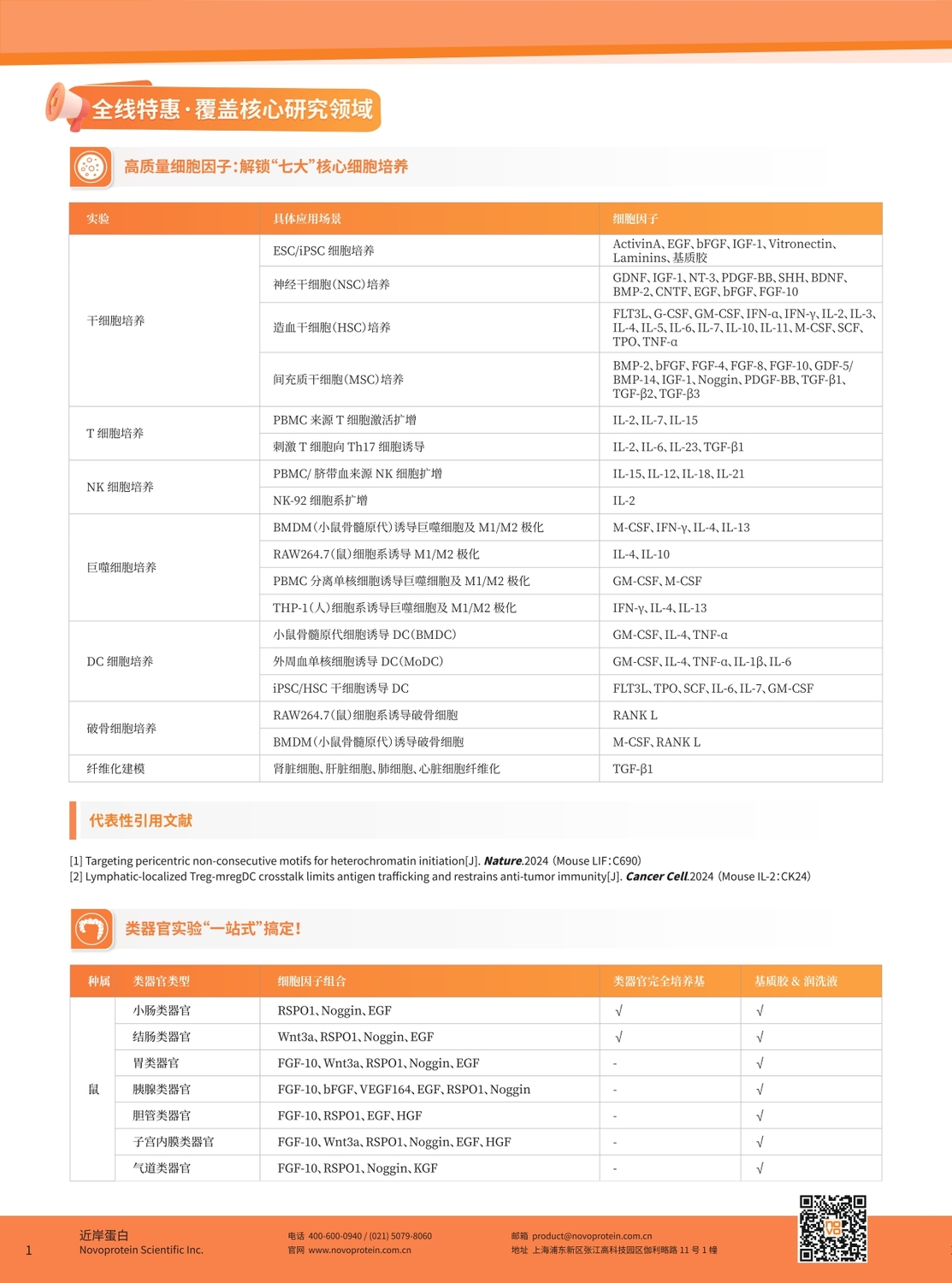 促销单页_page-0002.jpg