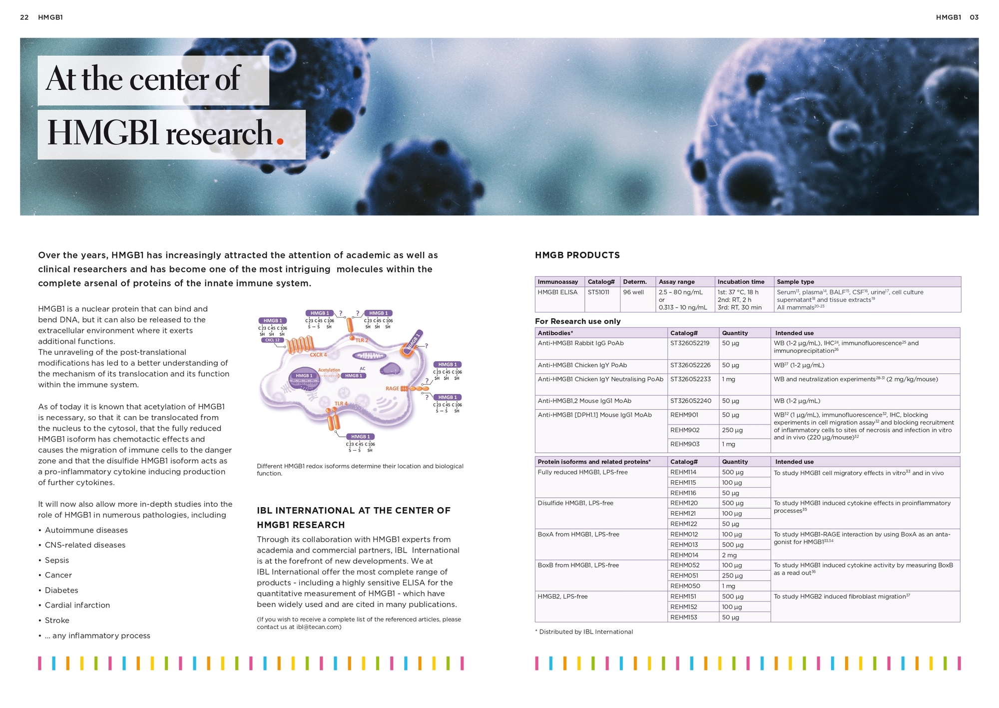 HMGB1_Multi-Tasker of innate immune system_page-0002.jpg