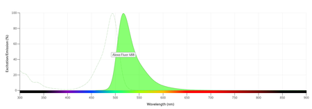 ANT023 Alexa Fluor®488 Donkey anti Mouse IgG（H L）