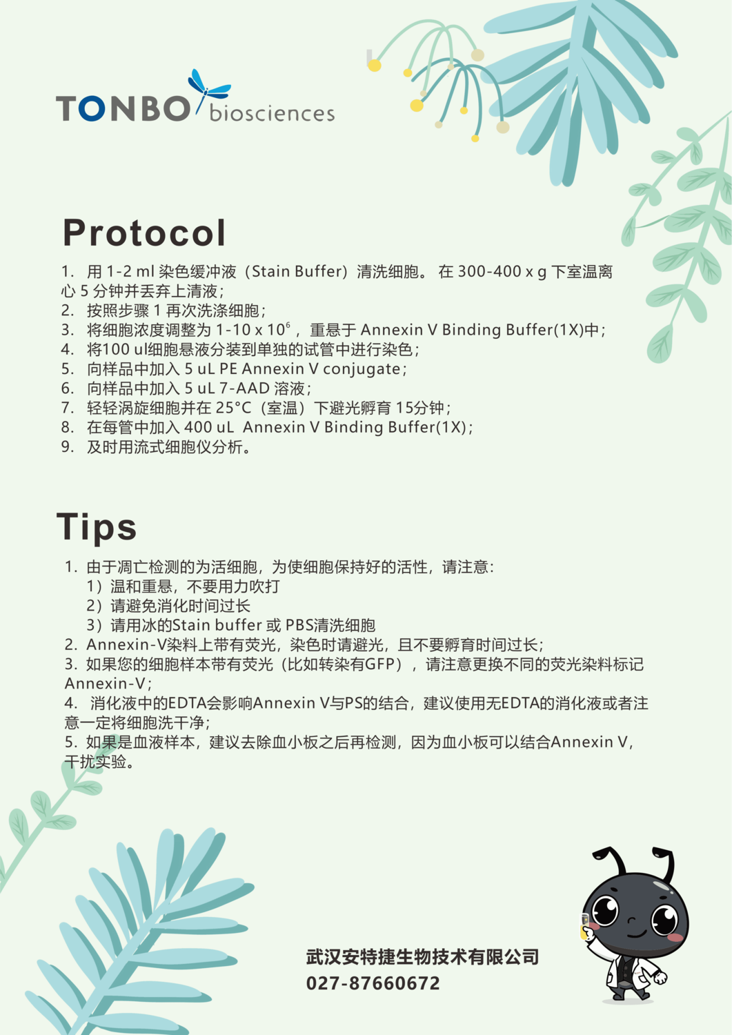 凋亡2.png