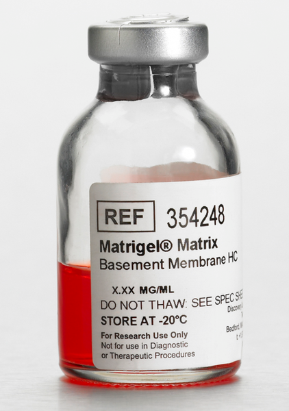Corning® Matrigel® Basement Membrane Matrix High Concentration (HC), LDEV-free, 10 mL