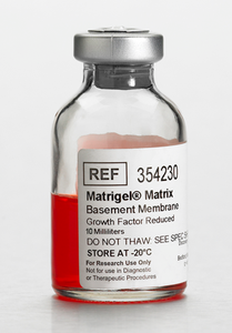 Corning® Matrigel® Growth Factor Reduced (GFR) Basement Membrane Matrix, LDEV-free, 10 mL