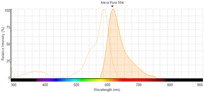 ANT031 Alexa Fluor®594 Donkey anti Goat IgG（H L）