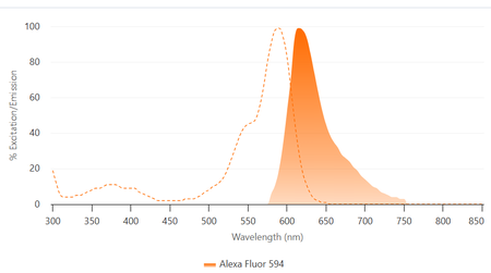 ANT049 Alexa Fluor 594 Goat Anti Rabbit IgG(H+L)